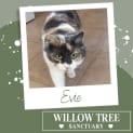Photo of Evie