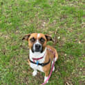 Photo of Coco
