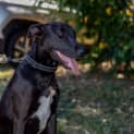 Photo of Zena