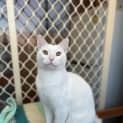 Photo of Olaf