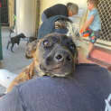 Photo of Bernadette