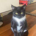 Photo of Oliver