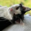 Photo of Wednesday