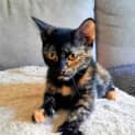 Photo of Kenzi