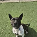 Photo of Lucy
