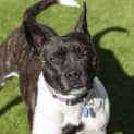 Photo of Lucy