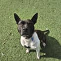 Photo of Lucy