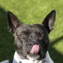 Photo of Lucy