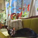 Photo of Berlioz