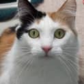 Photo of Clem