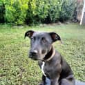 Photo of Coco
