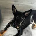Photo of Geller