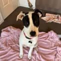 Photo of Lilith (Formerly Tiffany)