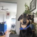 Photo of Winnie Blue
