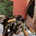Photo of Winnie Blue