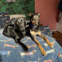 Photo of Winnie Blue