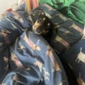 Photo of Winnie Blue