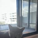Photo of Grayson
