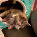 Photo of Esmeralda