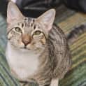 Photo of Ranger
