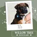 Photo of Tito