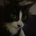 Photo of Betty