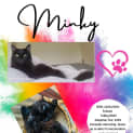 Photo of Minky