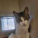 Photo of Bilbo