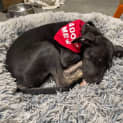 Photo of Takumi