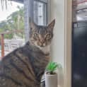 Photo of Timmy (Timothy)