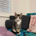 Photo of Buddy ( Was Jimmy)