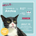 Photo of Archie