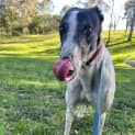 Photo of Wally