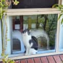 Photo of Thelma