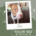 Photo of Jovi