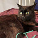 Photo of Duchess