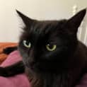 Photo of Duchess