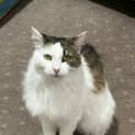 Photo of Molly