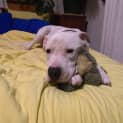 Photo of Casper