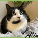 Photo of Alina 
