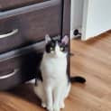 Photo of Thelma