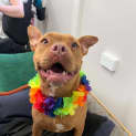 Photo of Ziggy