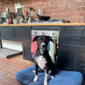 Photo of Missy