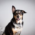 Photo of Mia