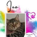 Photo of Leo