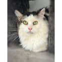 Photo of 2118 Juzzy