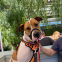 Photo of Murphy