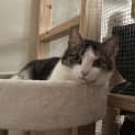 Photo of Delilah