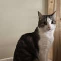 Photo of Delilah
