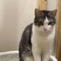Photo of Delilah